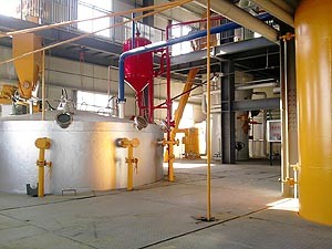 planta de aceite de maní