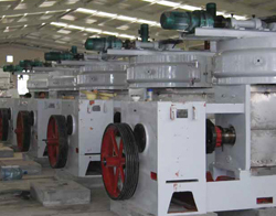 Planta de aceite de mani