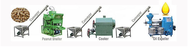 planta de aceite de mani a pequeña escala