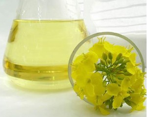 procesamiento de aceite de canola