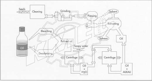 procesamiento de aceite de soya procesamiento de aceite de soya