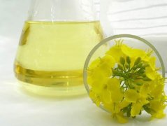 Procesamiento de Aceite de Canola